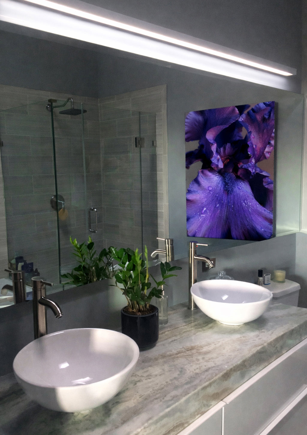 James M., Arlington VA, USA