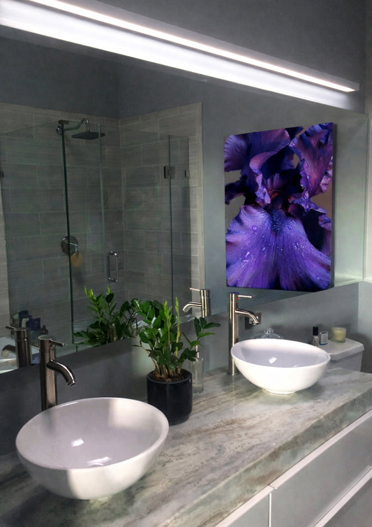 James M., Arlington VA, USA