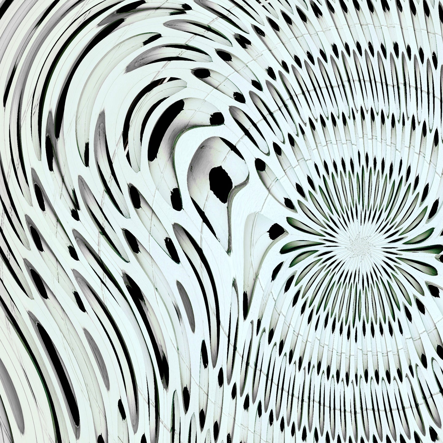 The Anatomy of Light