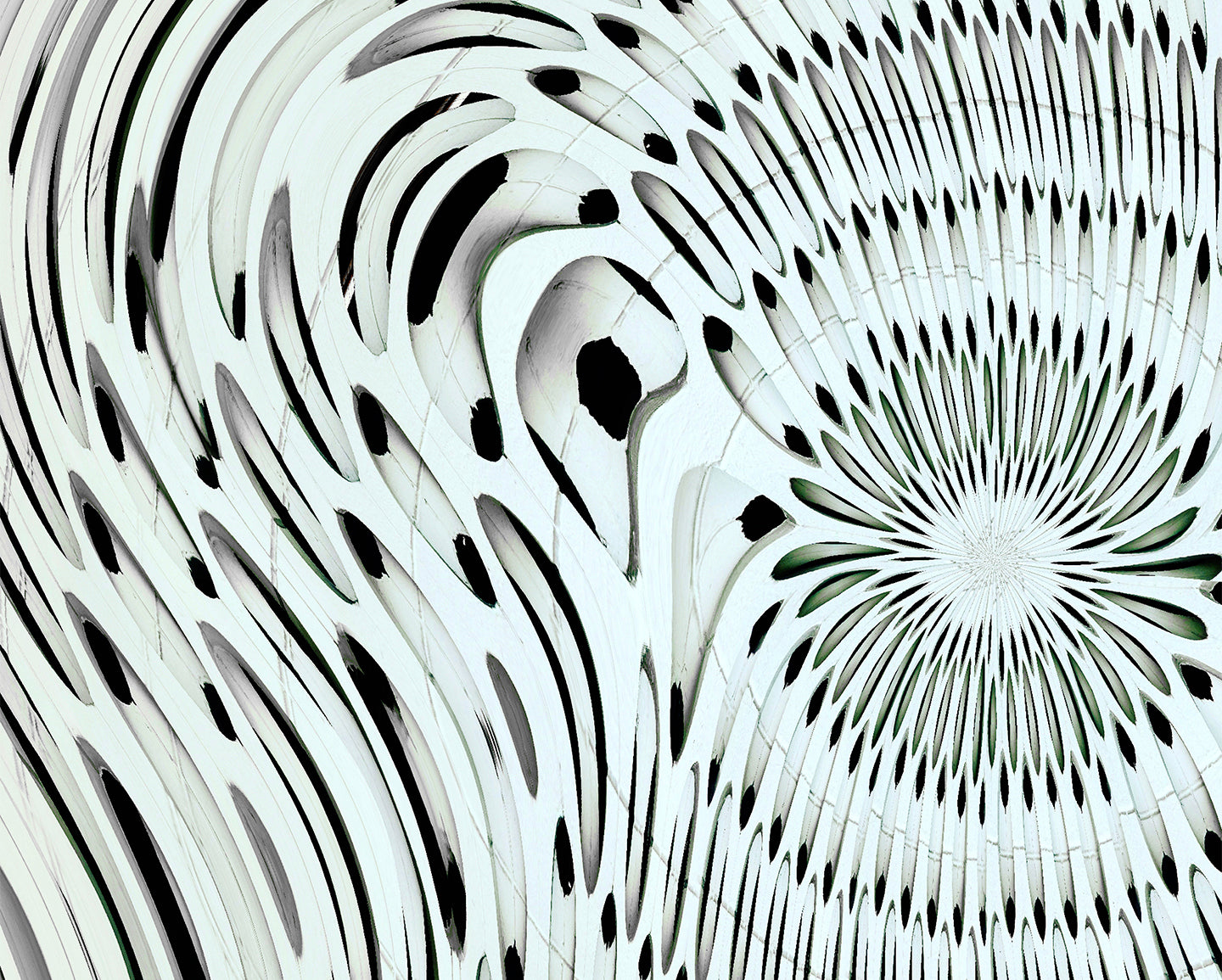 The Anatomy of Light