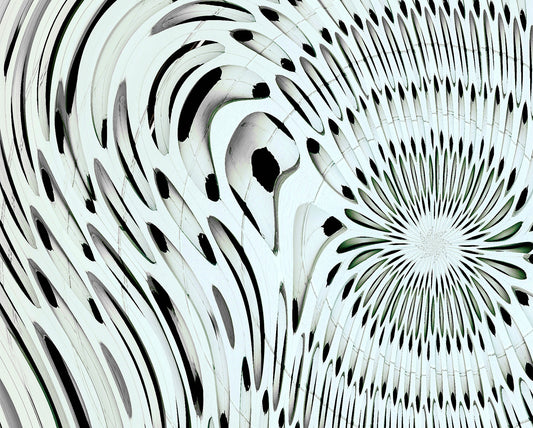 The Anatomy of Light