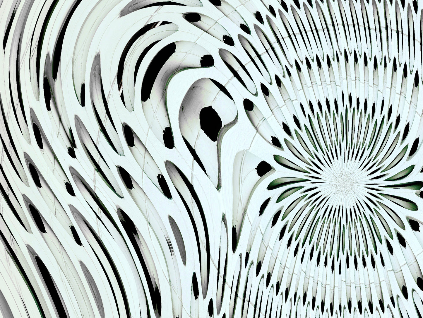 The Anatomy of Light